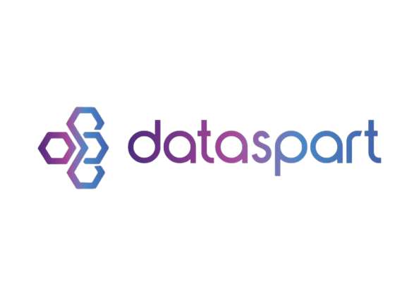 DataSpart Logo